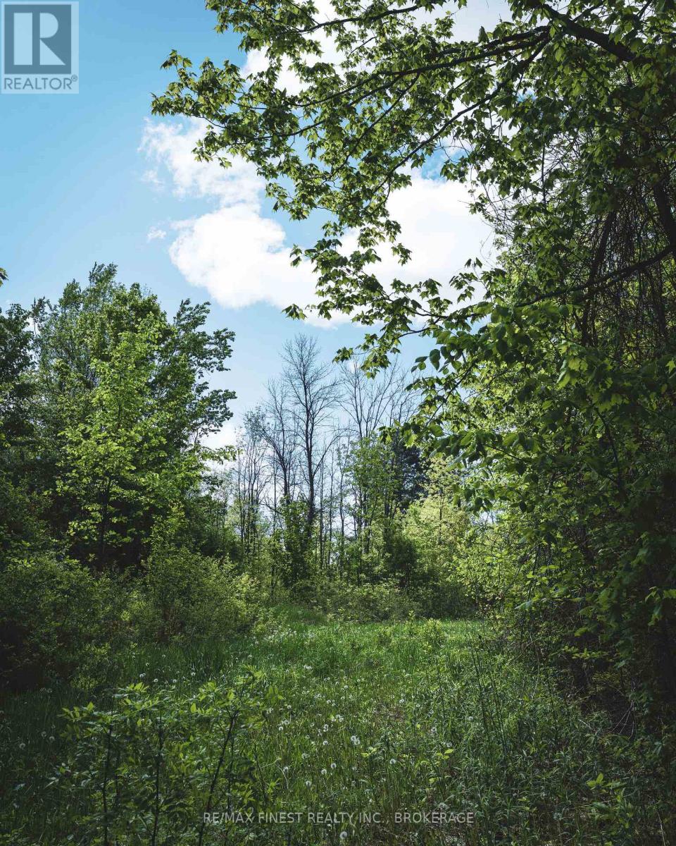 343 Church Road, Stone Mills, Ontario  K0K 1Z0 - Photo 12 - X13240122