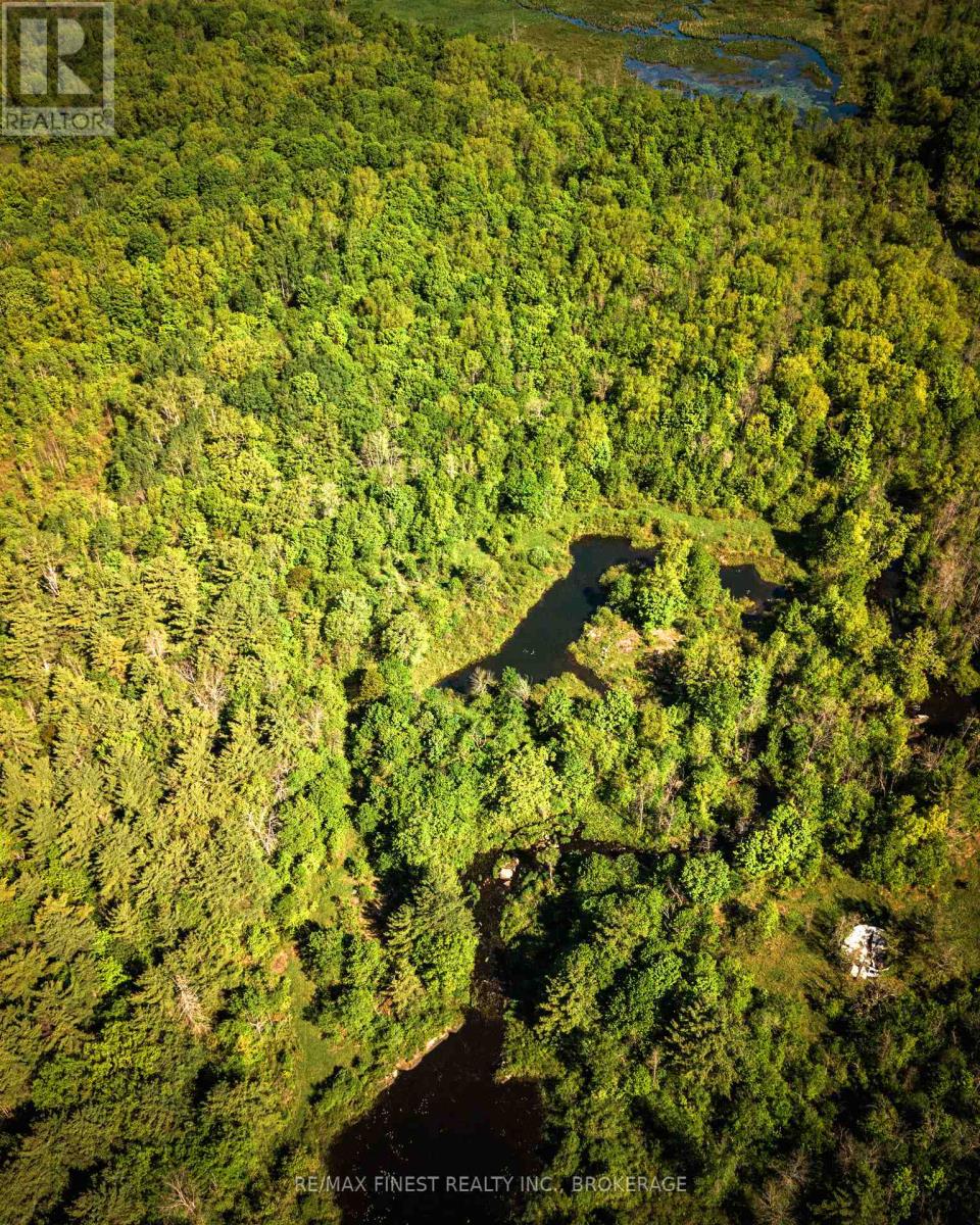 343 Church Road, Stone Mills, Ontario  K0K 1Z0 - Photo 18 - X13240122
