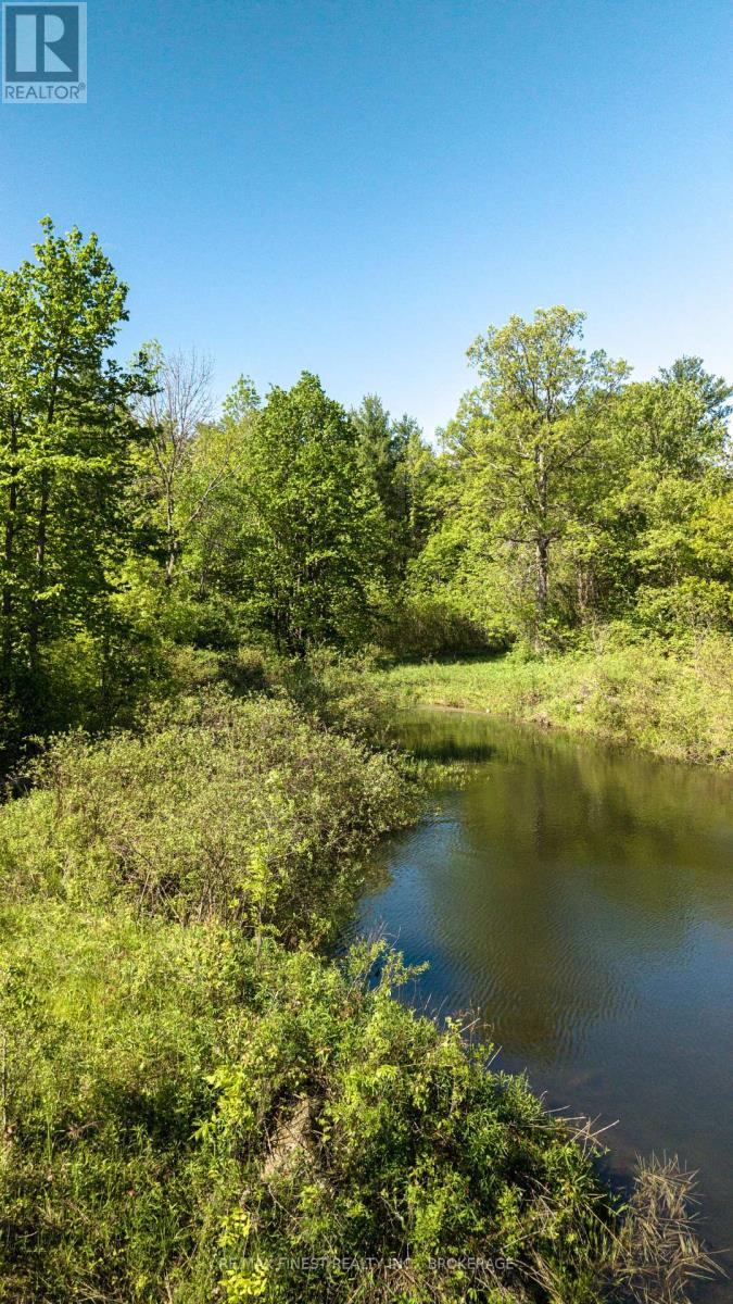 343 Church Road, Stone Mills, Ontario  K0K 1Z0 - Photo 8 - X13240122