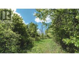 343 CHURCH ROAD, Stone Mills, Ontario