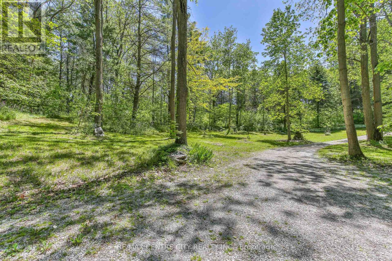 53860 Jackson Line, Bayham, Ontario  N0J 1Y0 - Photo 39 - X13239886