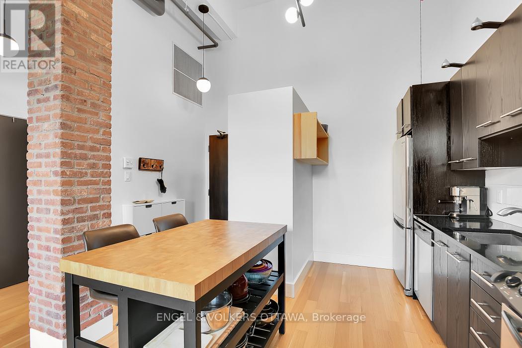 201 - 108 Third Avenue, Ottawa, Ontario  K1S 2J8 - Photo 10 - X13240074