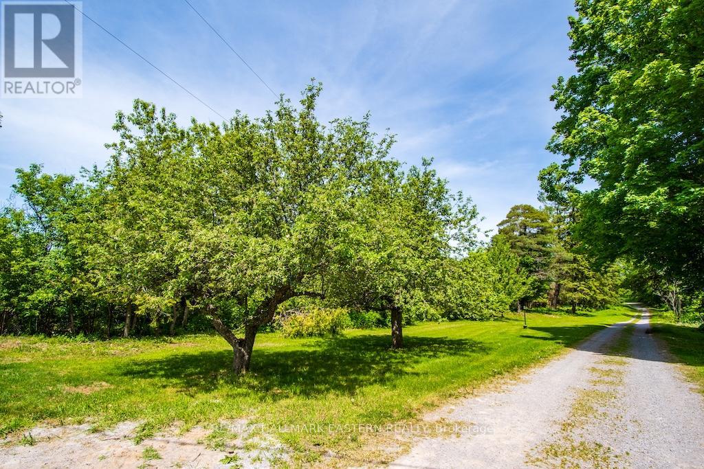 2279 Pigeon Lake Road, Kawartha Lakes, Ontario  K0M 1A0 - Photo 40 - X13224350