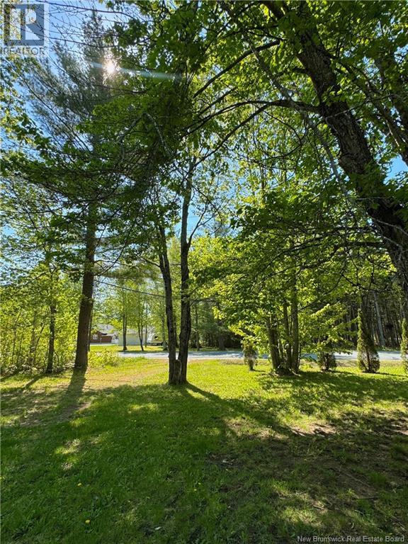491 Mckinnon Road, Miramichi, New Brunswick  E1V 6G5 - Photo 26 - NB141093