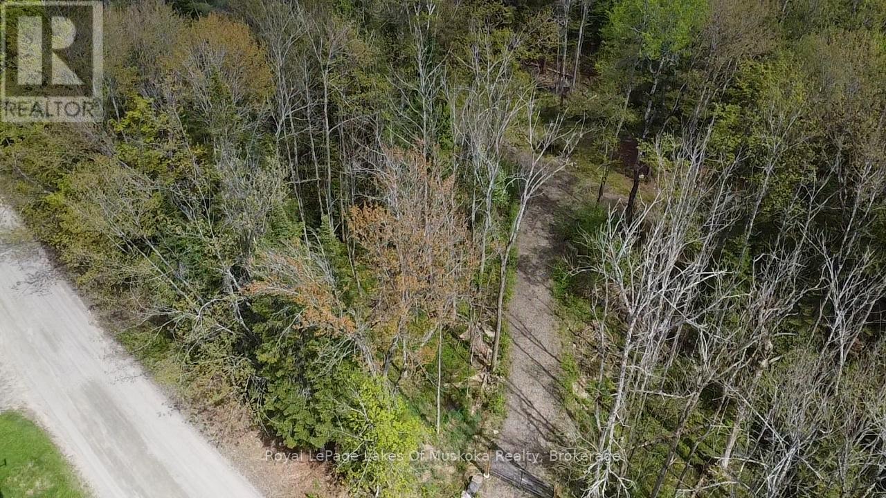 887 Star Lake Road, Perry, Ontario  P0A 1J0 - Photo 10 - X13240374