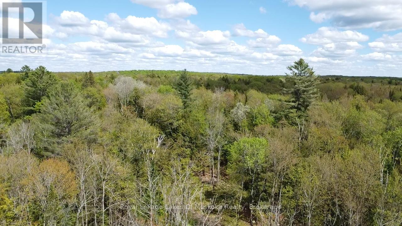 887 Star Lake Road, Perry, Ontario  P0A 1J0 - Photo 11 - X13240374