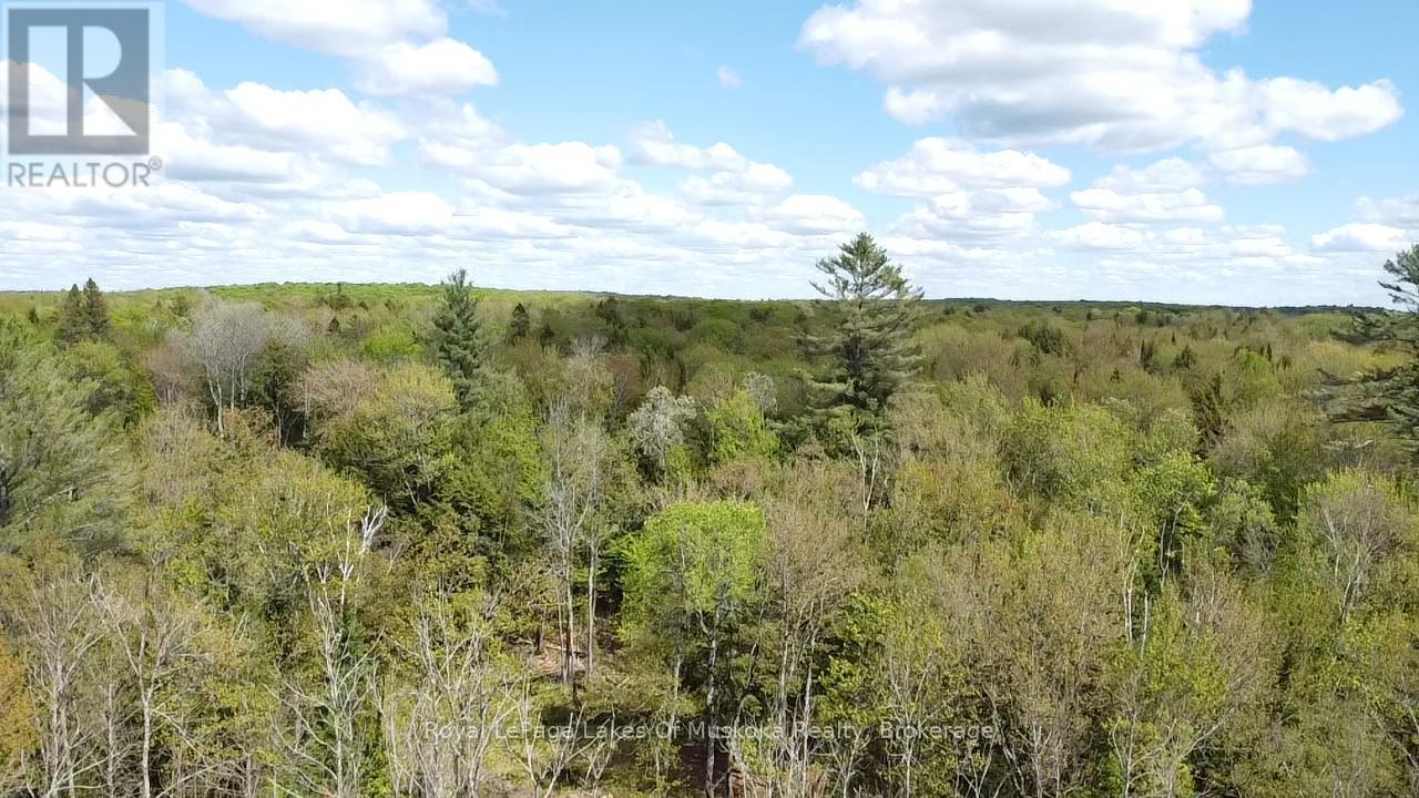 887 Star Lake Road, Perry, Ontario  P0A 1J0 - Photo 12 - X13240374