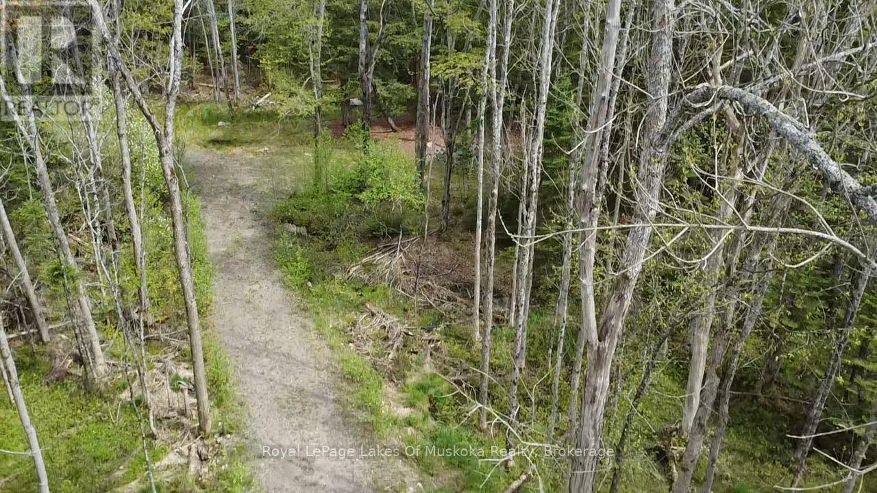 887 Star Lake Road, Perry, Ontario  P0A 1J0 - Photo 5 - X13240374