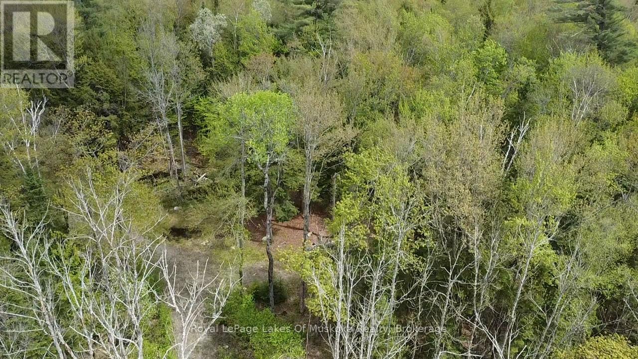 887 Star Lake Road, Perry, Ontario  P0A 1J0 - Photo 6 - X13240374