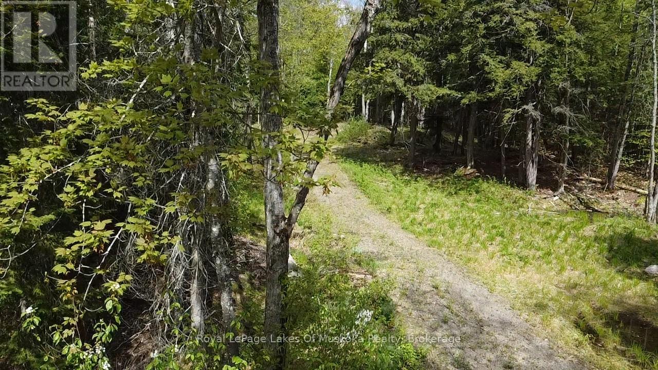 887 Star Lake Road, Perry, Ontario  P0A 1J0 - Photo 8 - X13240374