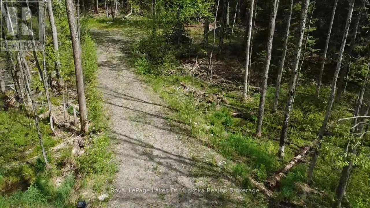 887 Star Lake Road, Perry, Ontario  P0A 1J0 - Photo 9 - X13240374