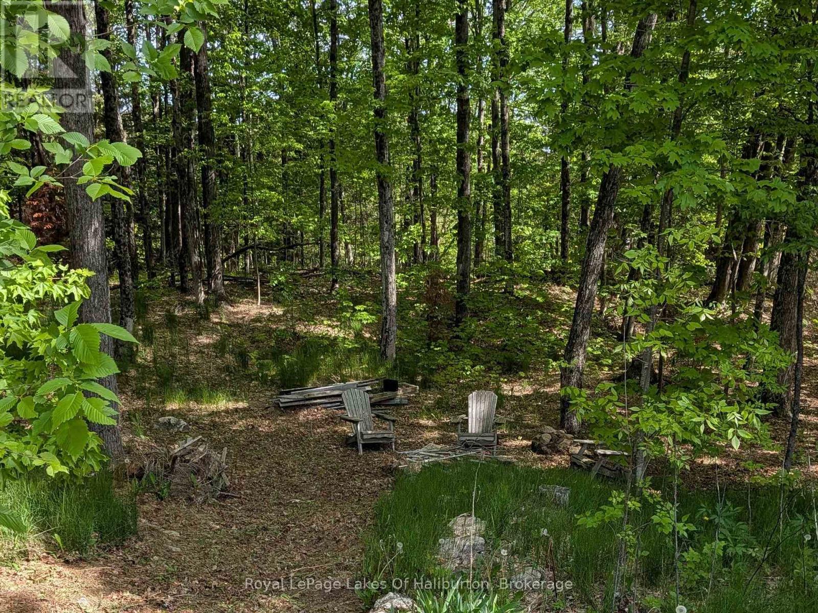 10531 County Road 503, Highlands East, Ontario  K0M 1R0 - Photo 5 - X13043354