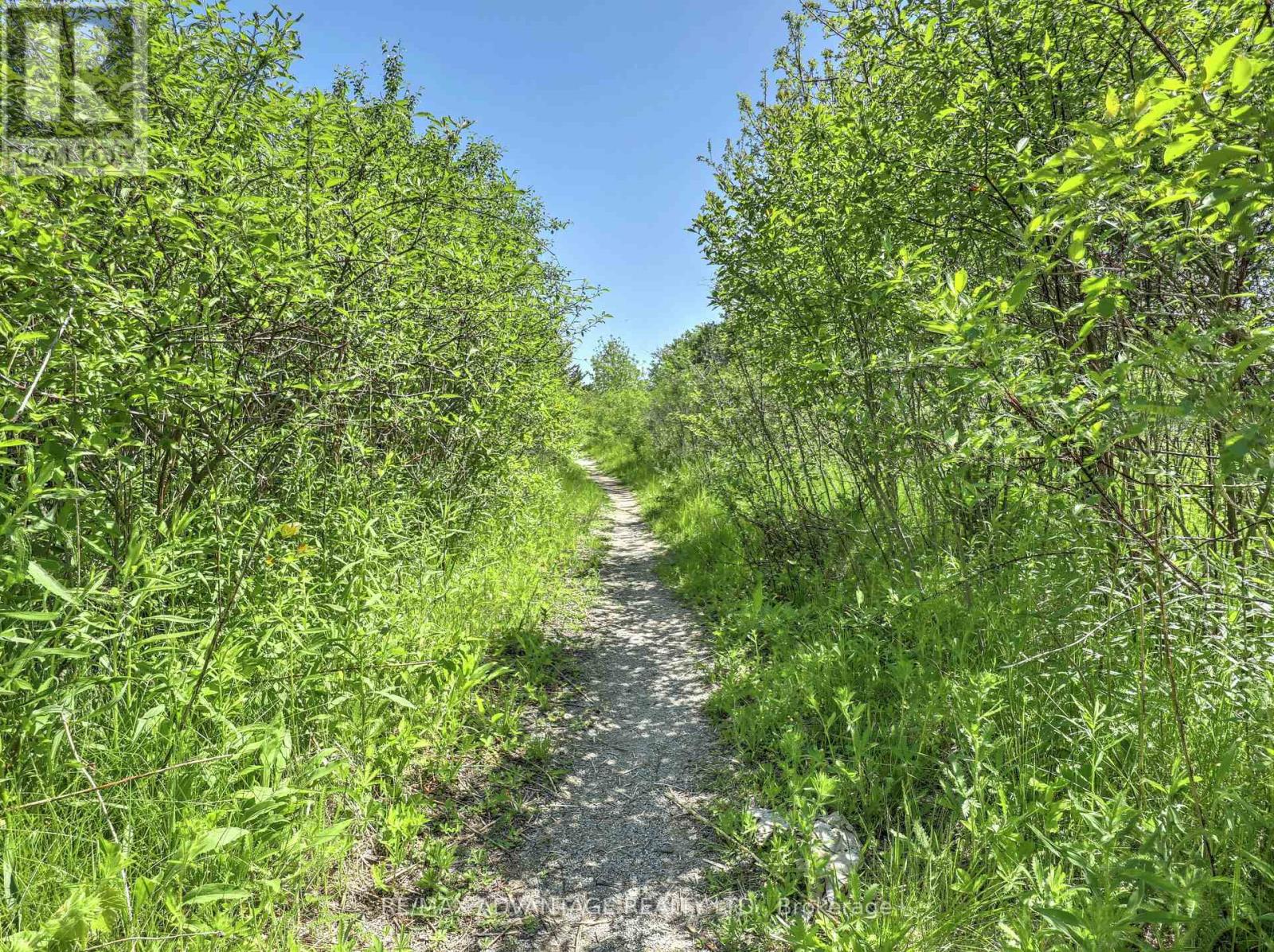 1544 Privet Place, London North, Ontario  N5X 0E7 - Photo 50 - X13240478