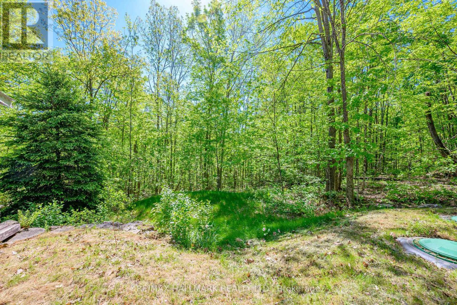1005 Learners Lane, Minden Hills, Ontario  K0M 2K0 - Photo 28 - X13240286