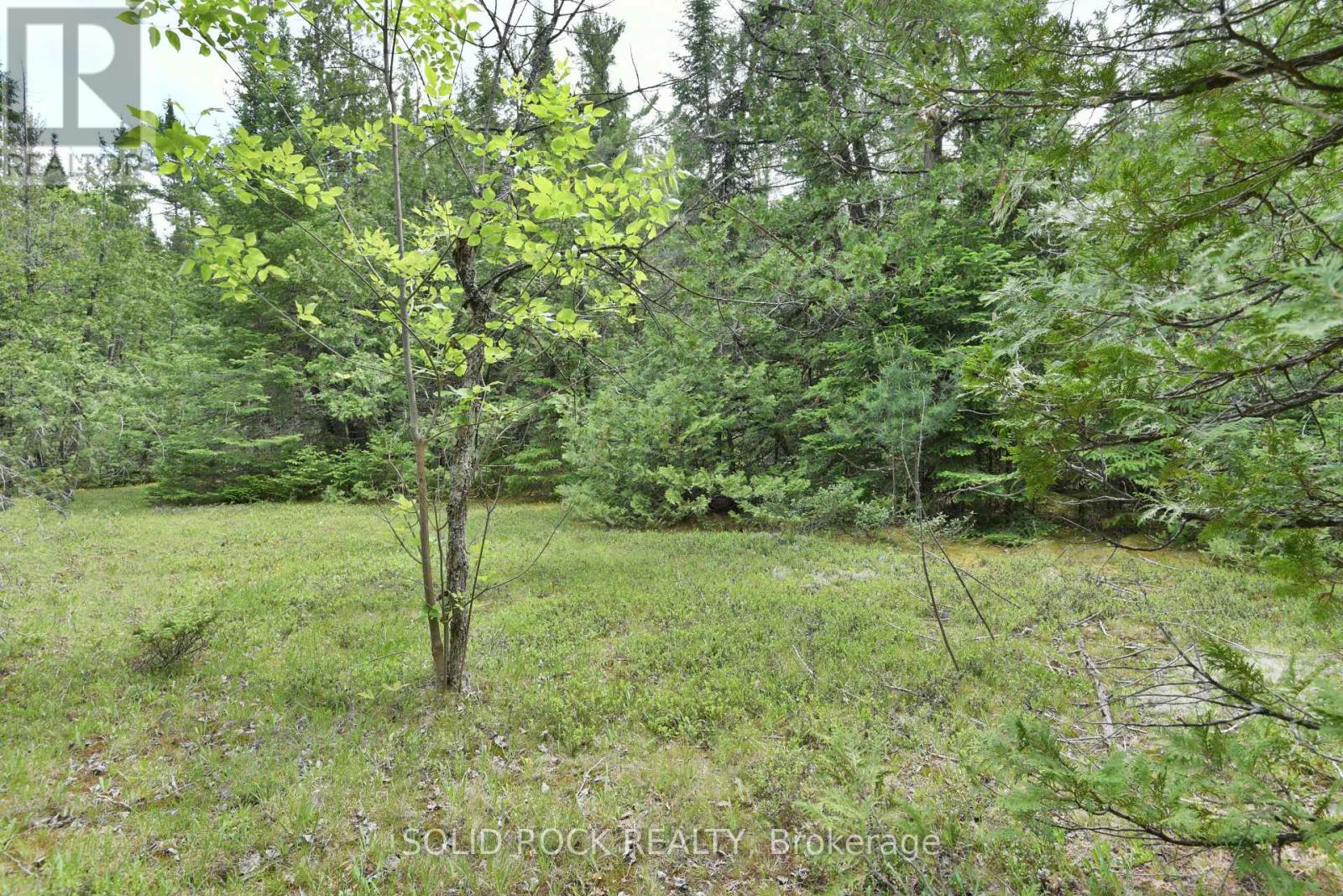 0 Mast Road, Mcnab/braeside, Ontario  K7S 3G8 - Photo 10 - X13241032