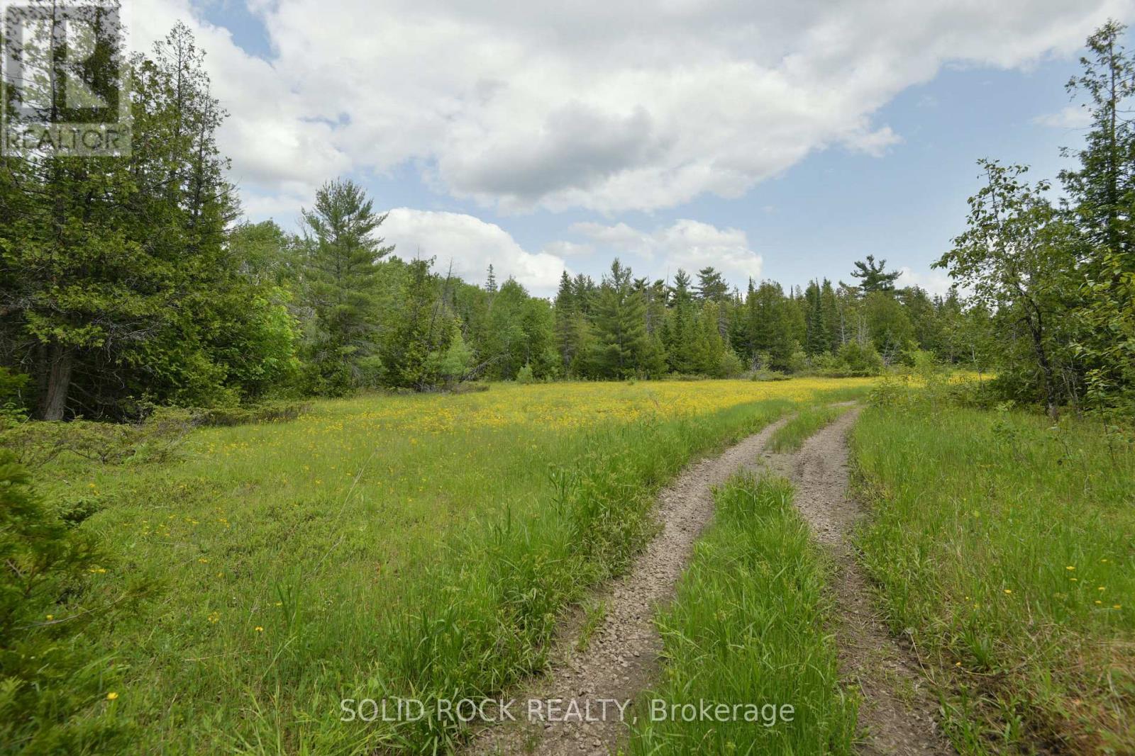 0 Mast Road, Mcnab/braeside, Ontario  K7S 3G8 - Photo 7 - X13241032