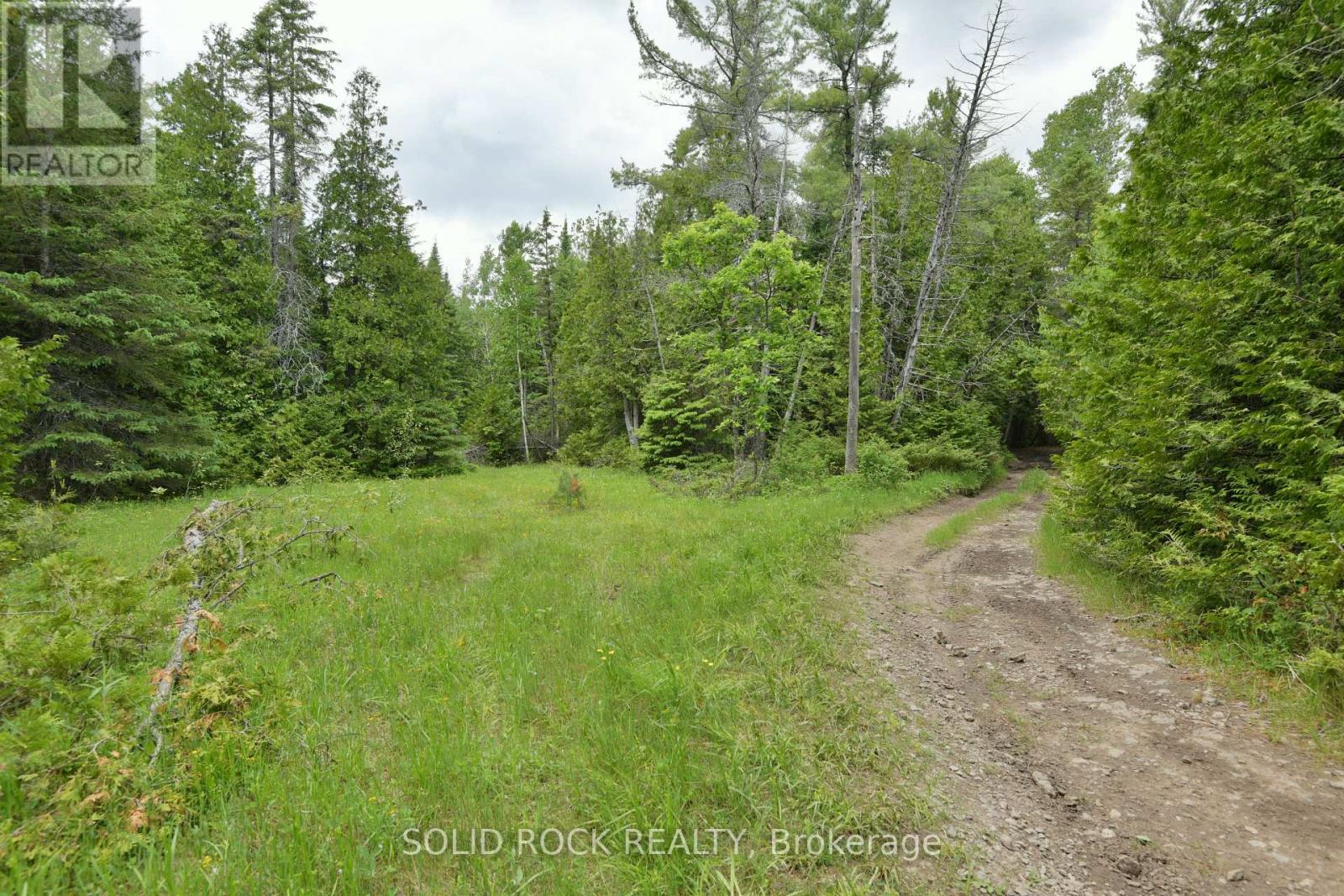 0 Mast Road, Mcnab/braeside, Ontario  K7S 3G8 - Photo 8 - X13241032