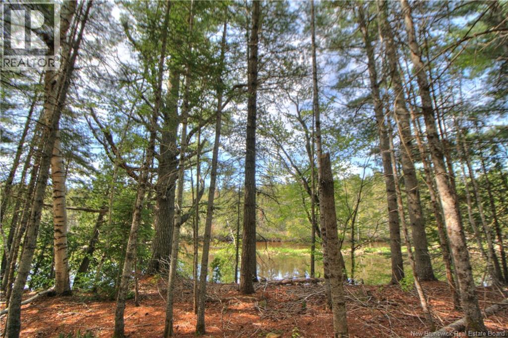 Lot Route 470, West Branch, New Brunswick  E4W 3G3 - Photo 12 - NB141082