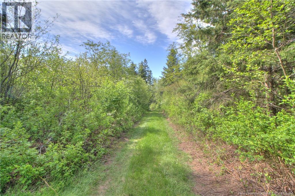Lot Route 470, West Branch, New Brunswick  E4W 3G3 - Photo 5 - NB141082