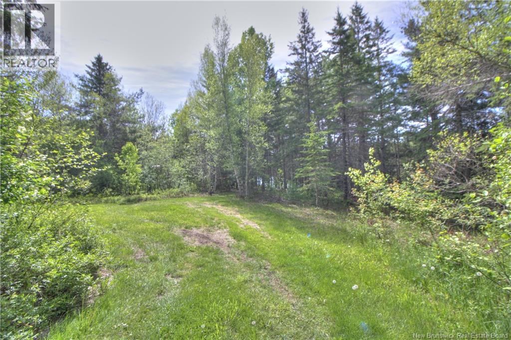 Lot Route 470, West Branch, New Brunswick  E4W 3G3 - Photo 6 - NB141082