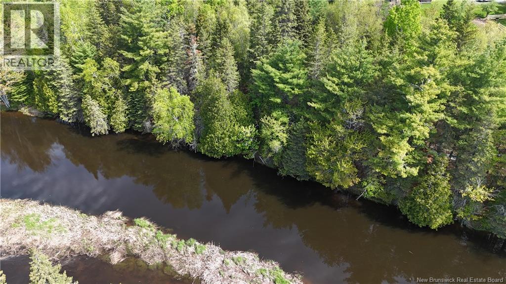 Lot Route 470, West Branch, New Brunswick  E4W 3G3 - Photo 13 - NB141082