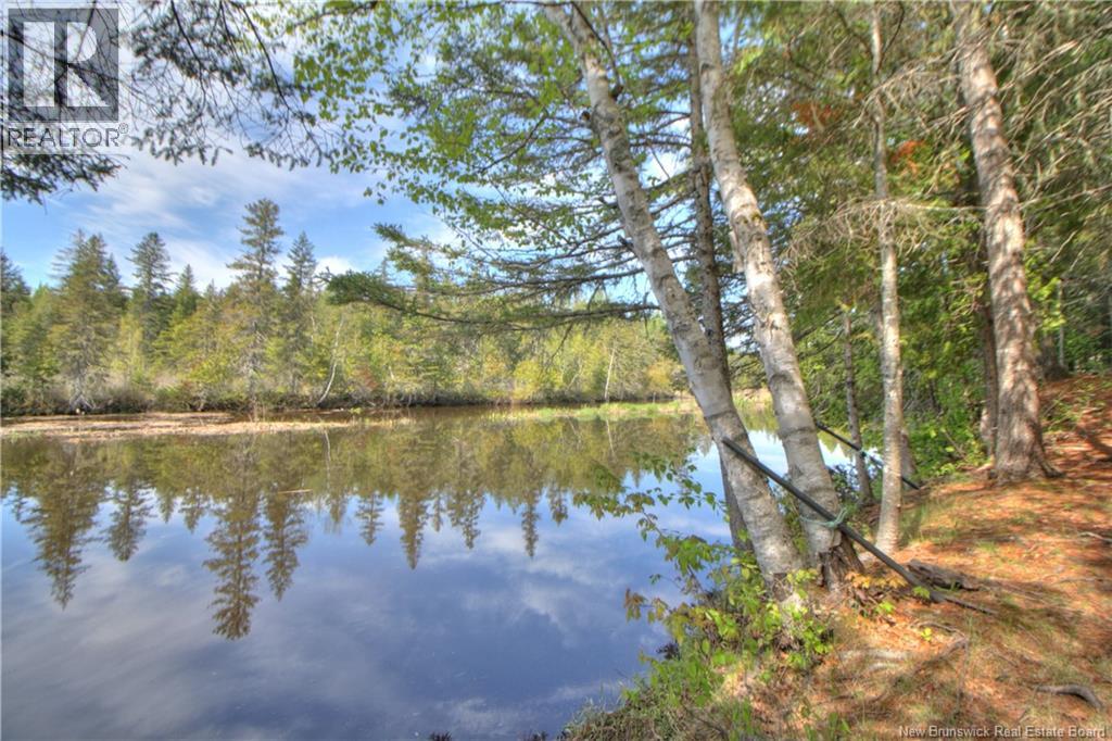 Lot Route 470, West Branch, New Brunswick  E4W 3G3 - Photo 8 - NB141082