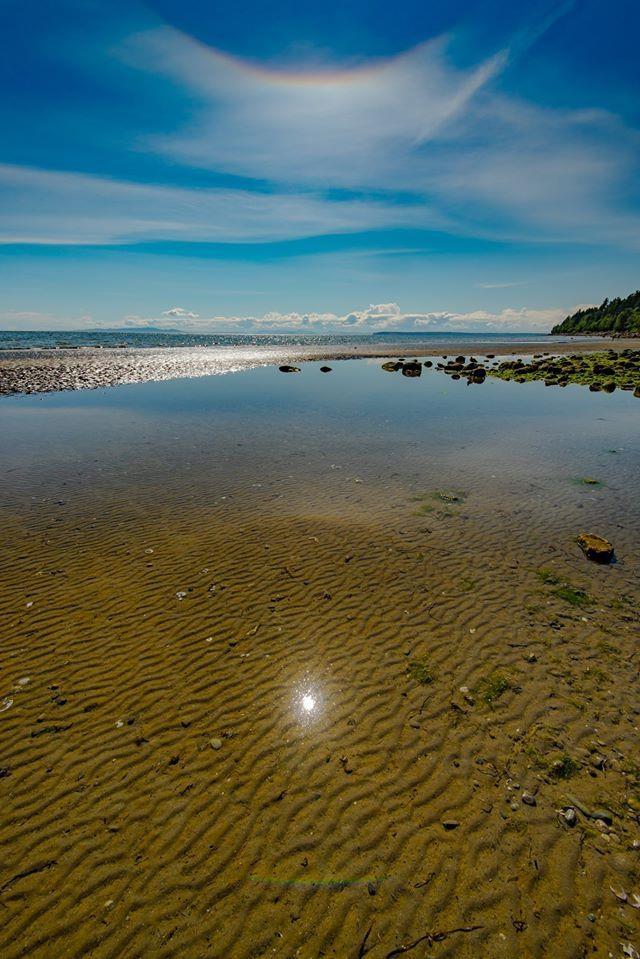 14999 Blackwood Lane, White Rock, British Columbia  V4B 2A8 - Photo 39 - R3131224