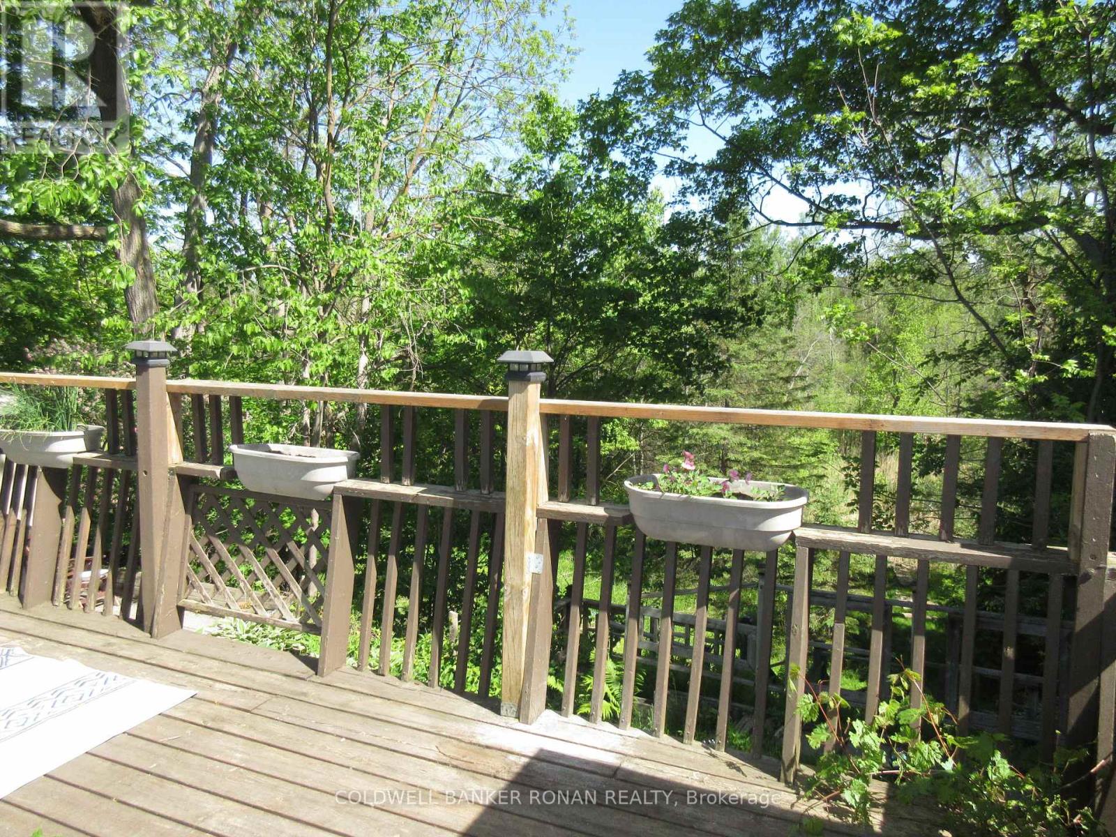Main Floor - 104 Boyne Crescent, New Tecumseth, Ontario  L9R 1K3 - Photo 17 - N13240596