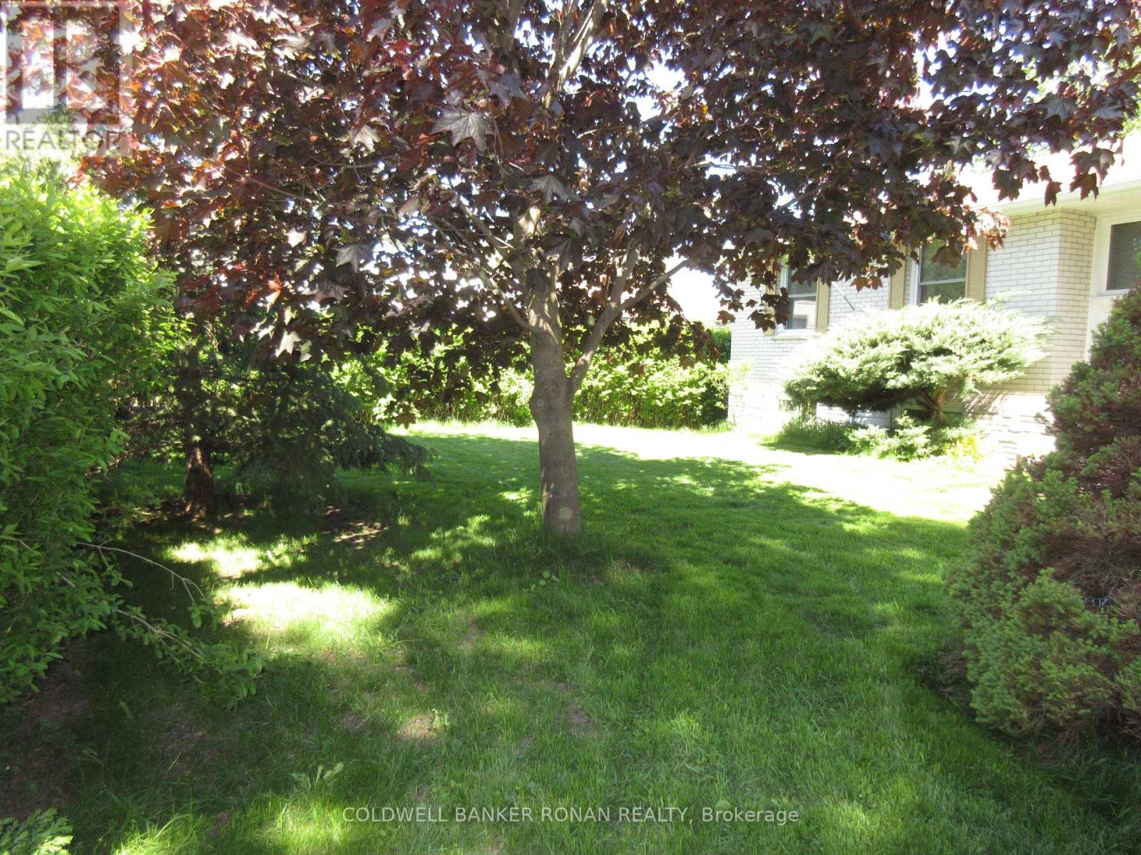 Main Floor - 104 Boyne Crescent, New Tecumseth, Ontario  L9R 1K3 - Photo 2 - N13240596