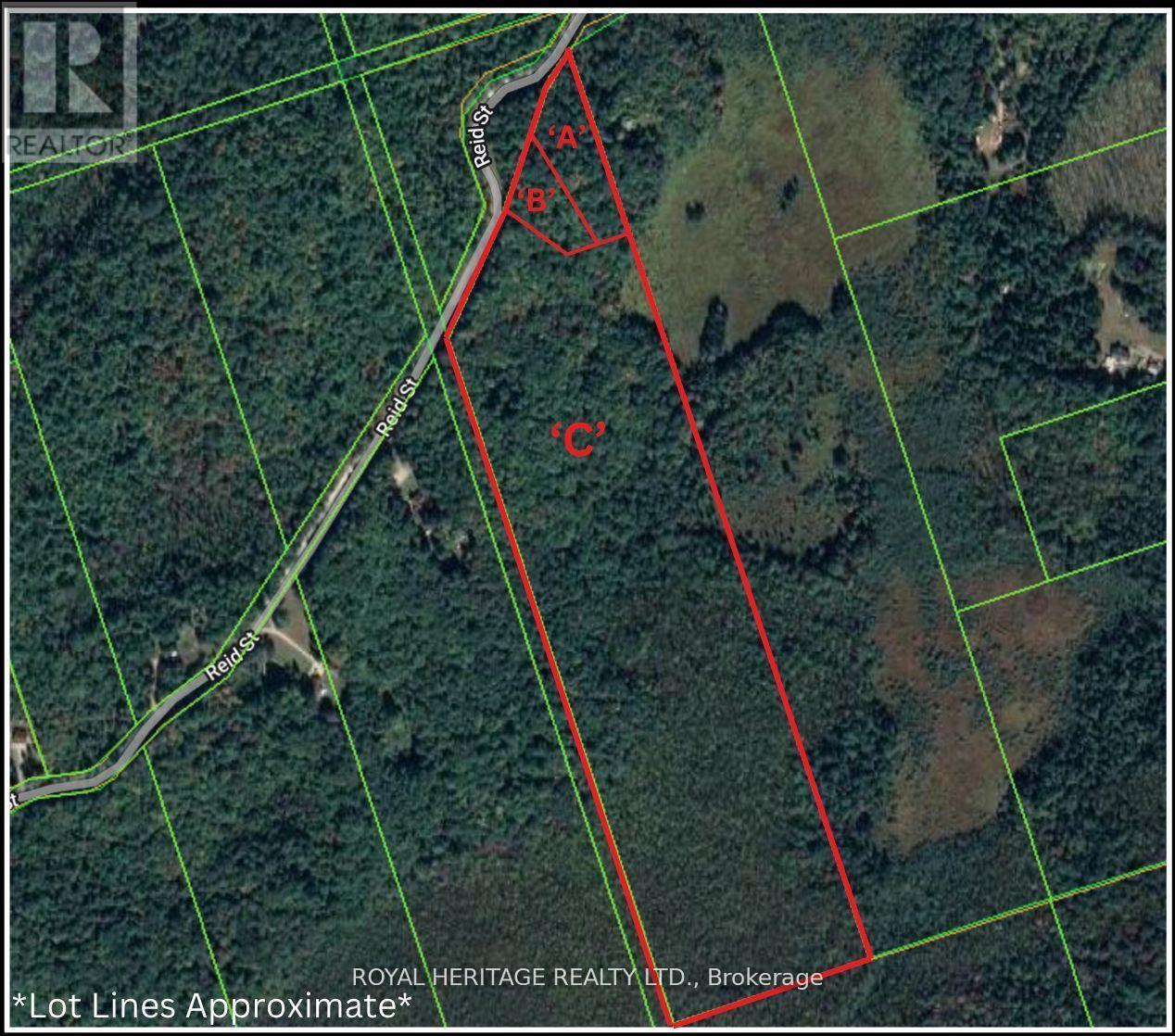 0b Reid Street, Trent Lakes, Ontario  K0M 2A0 - Photo 2 - X13240584