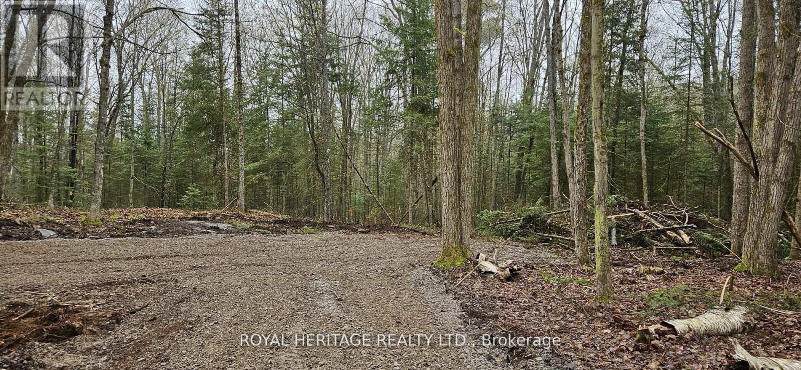 0b Reid Street, Trent Lakes, Ontario  K0M 2A0 - Photo 3 - X13240584