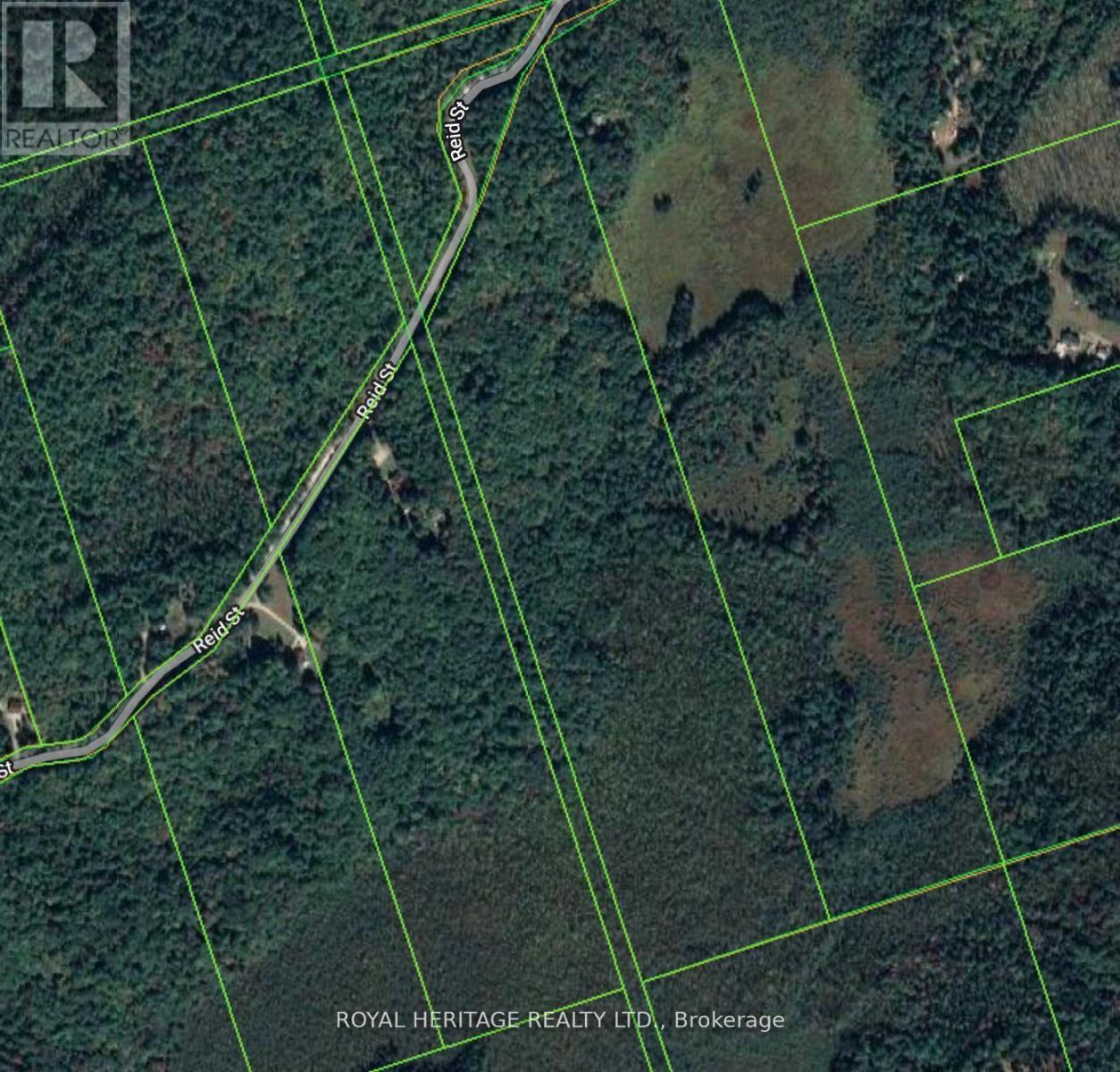 0a Reid Street, Trent Lakes, Ontario  K0M 2A0 - Photo 3 - X13240586