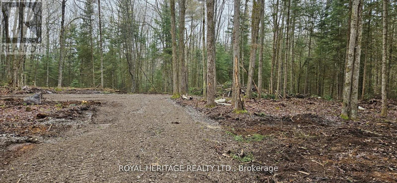 0a Reid Street, Trent Lakes, Ontario  K0M 2A0 - Photo 4 - X13240586