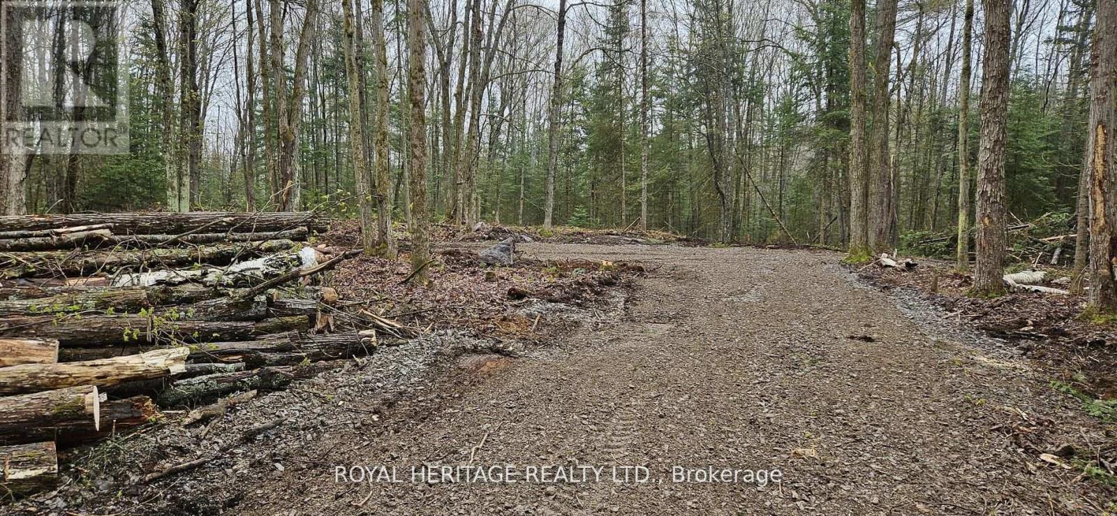 0a Reid Street, Trent Lakes, Ontario  K0M 2A0 - Photo 5 - X13240586