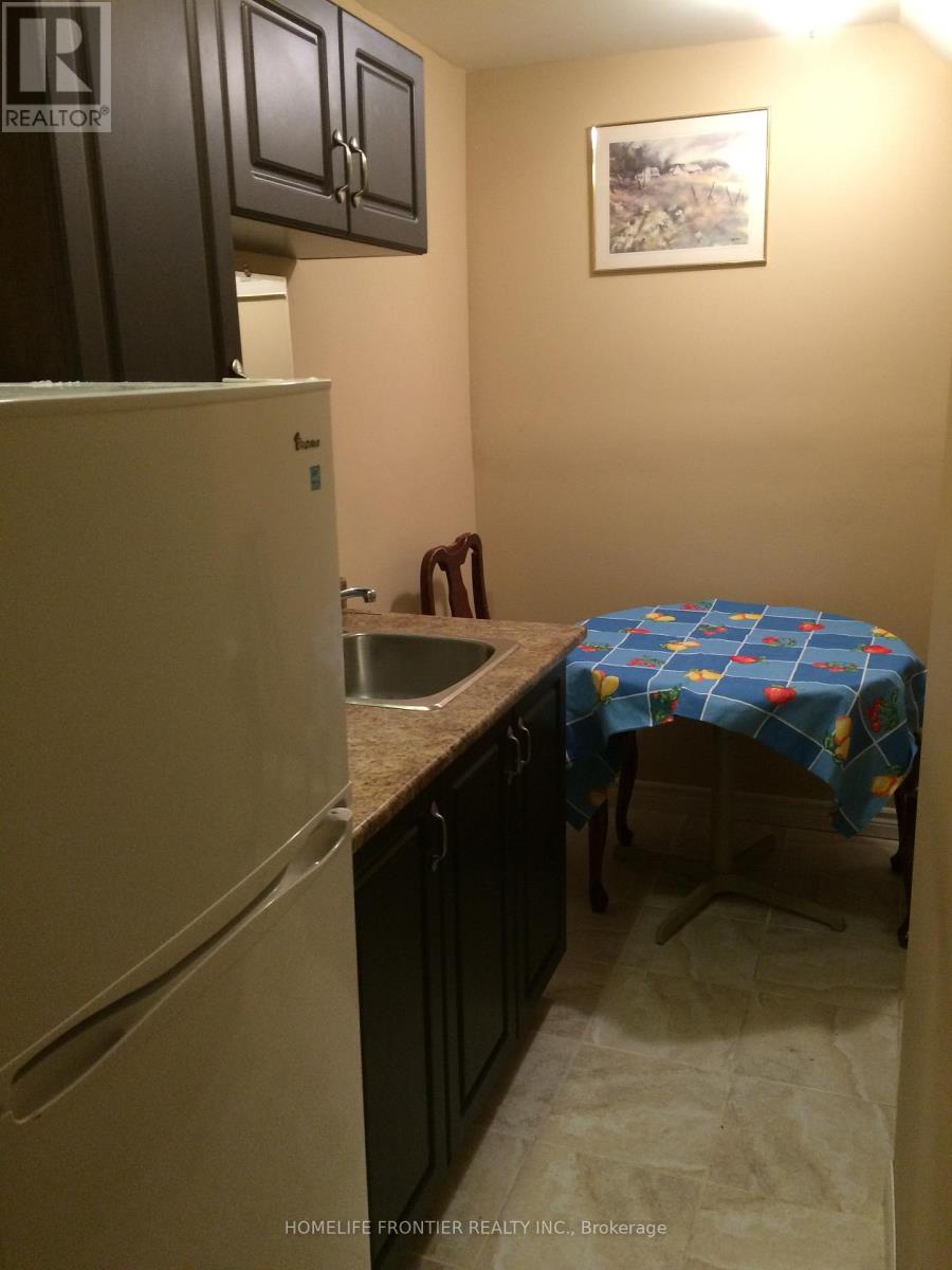 248 Shuter (Basement) Street, Toronto, Ontario  M5A 1W2 - Photo 6 - C13226078