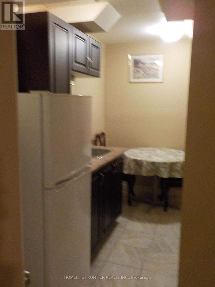 248 Shuter (Basement) Street, Toronto, Ontario  M5A 1W2 - Photo 8 - C13226078