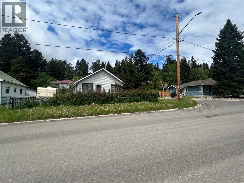 20602 25 Avenue, Bellevue, Alberta  T0K 0C0 - Photo 22 - A2317315