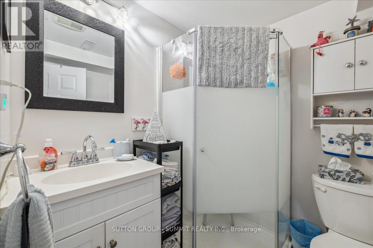 Lower - 9 Grenadier Drive, Hamilton, Ontario  L8T 4C7 - Photo 11 - X13241354