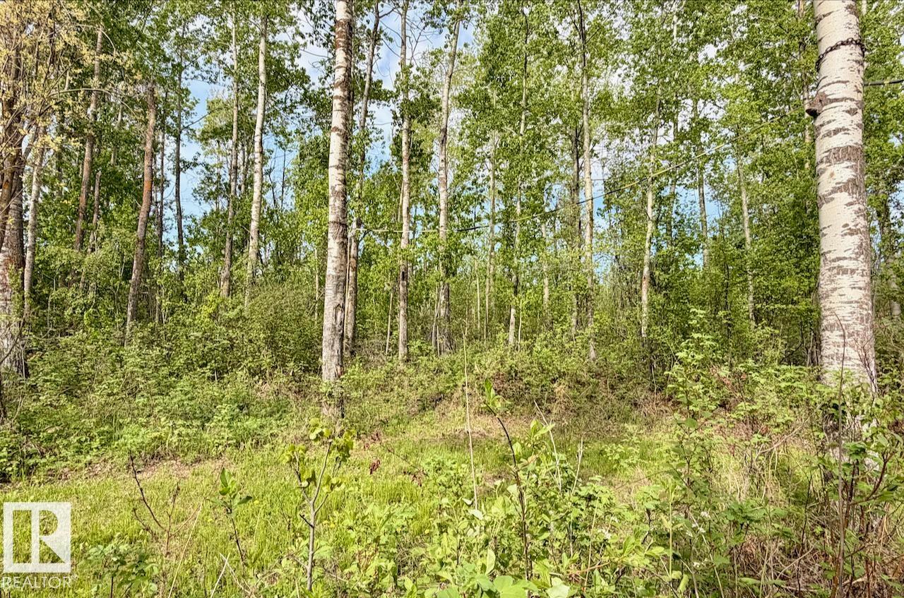 #9 53001 Rge Road 53, Rural Parkland County, Alberta  T0E 2B0 - Photo 12 - E4491118