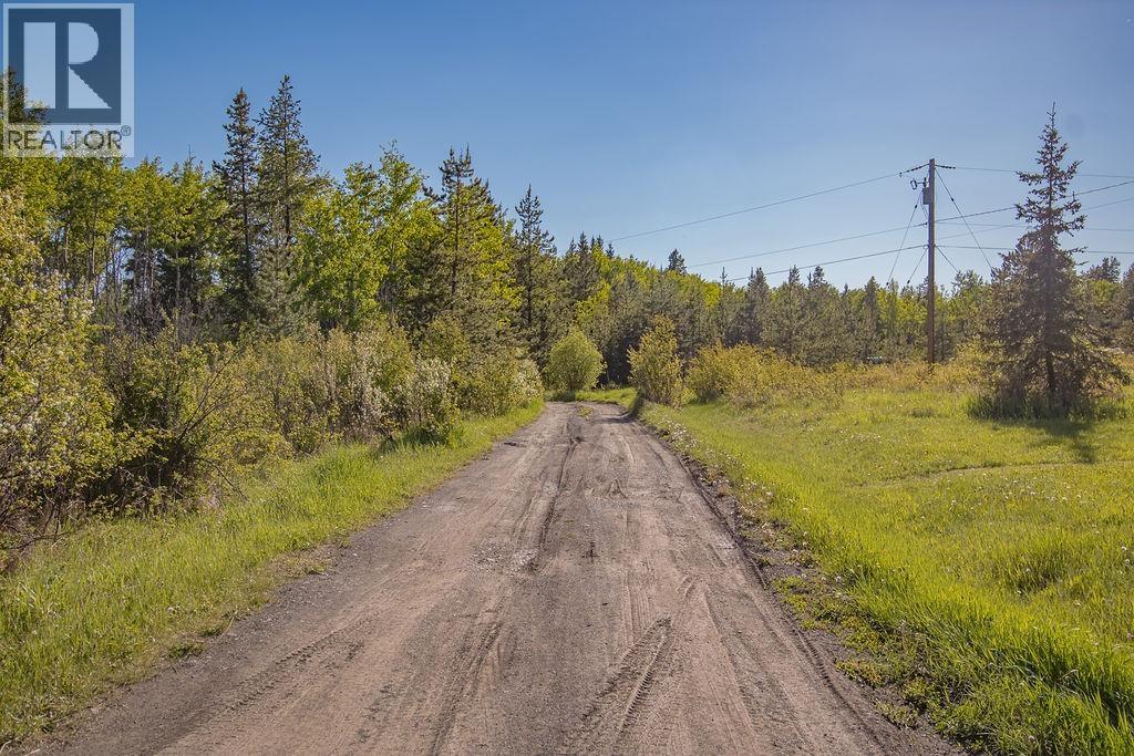 10932 Pinchi Lake Road, Fort St. James, British Columbia  V0J 1P0 - Photo 21 - R3131617
