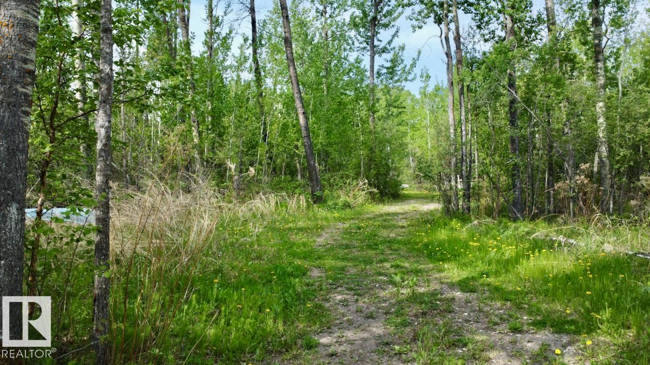 #9 53001 Rge Road 53, Rural Parkland County, Alberta  T0E 2B0 - Photo 16 - E4491118