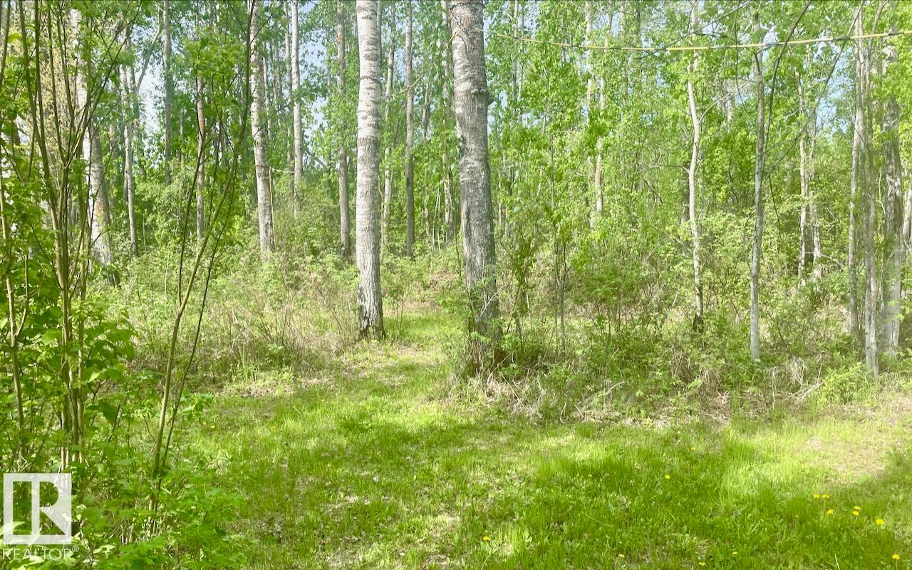 #9 53001 Rge Road 53, Rural Parkland County, Alberta  T0E 2B0 - Photo 17 - E4491118