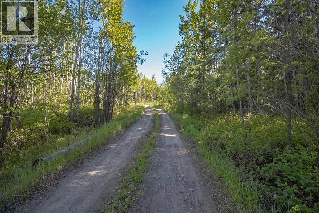10932 Pinchi Lake Road, Fort St. James, British Columbia  V0J 1P0 - Photo 22 - R3131617