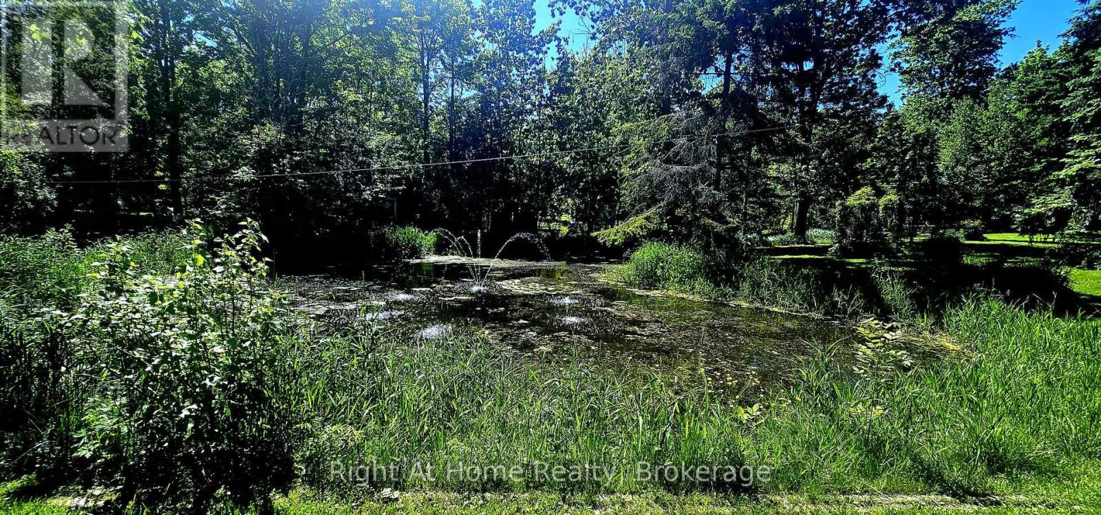 354 5th Concession Road W, Hamilton, Ontario  L0R 1V0 - Photo 49 - X13219518