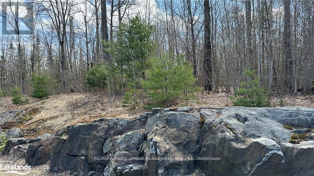 593 Highway 518, Seguin, Ontario  P2A 0B2 - Photo 6 - X13220796