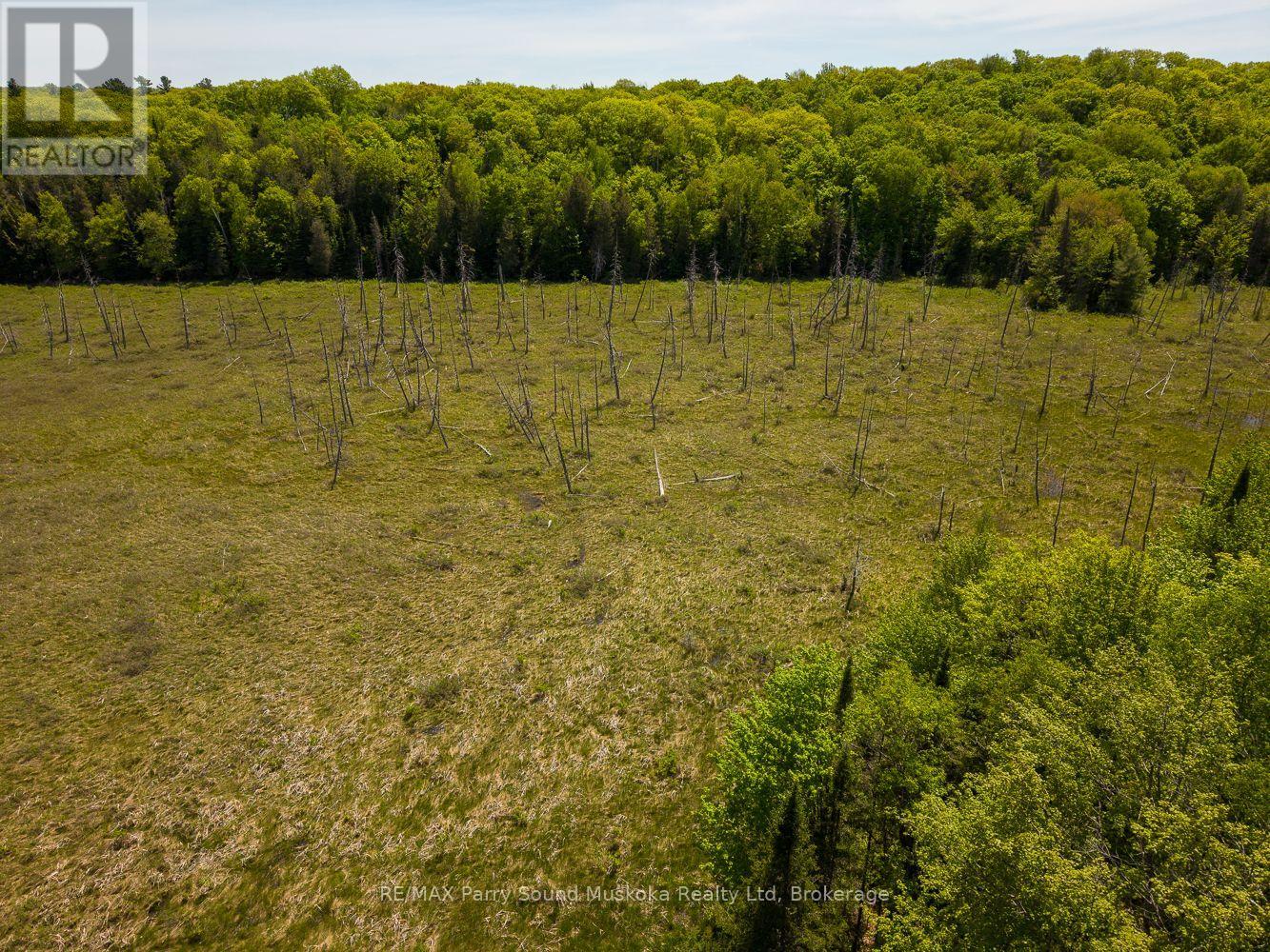 593 Highway 518, Seguin, Ontario  P2A 0B2 - Photo 8 - X13220796