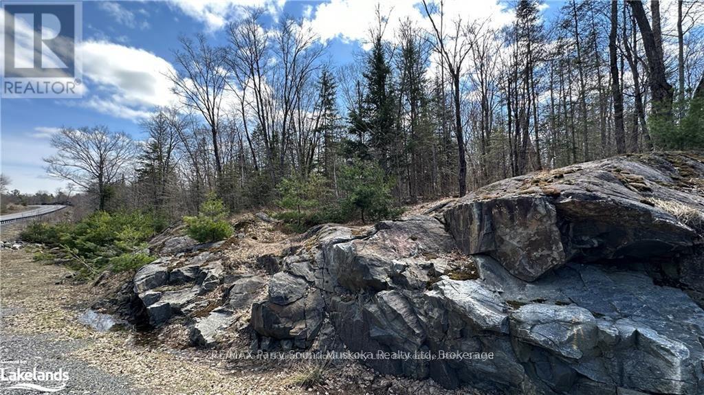 593 Highway 518, Seguin, Ontario  P2A 0B2 - Photo 7 - X13220796