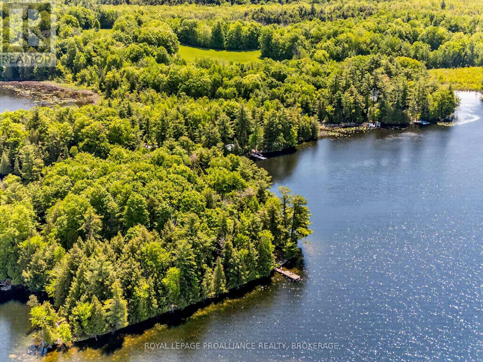 1147 Shadow Lane, Frontenac, Ontario  K0H 2L0 - Photo 34 - X13241740