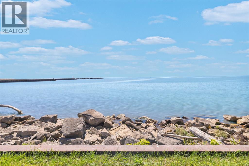 330 Milo, Leamington, Ontario  M0P 2P0 - Photo 41 - 26013149