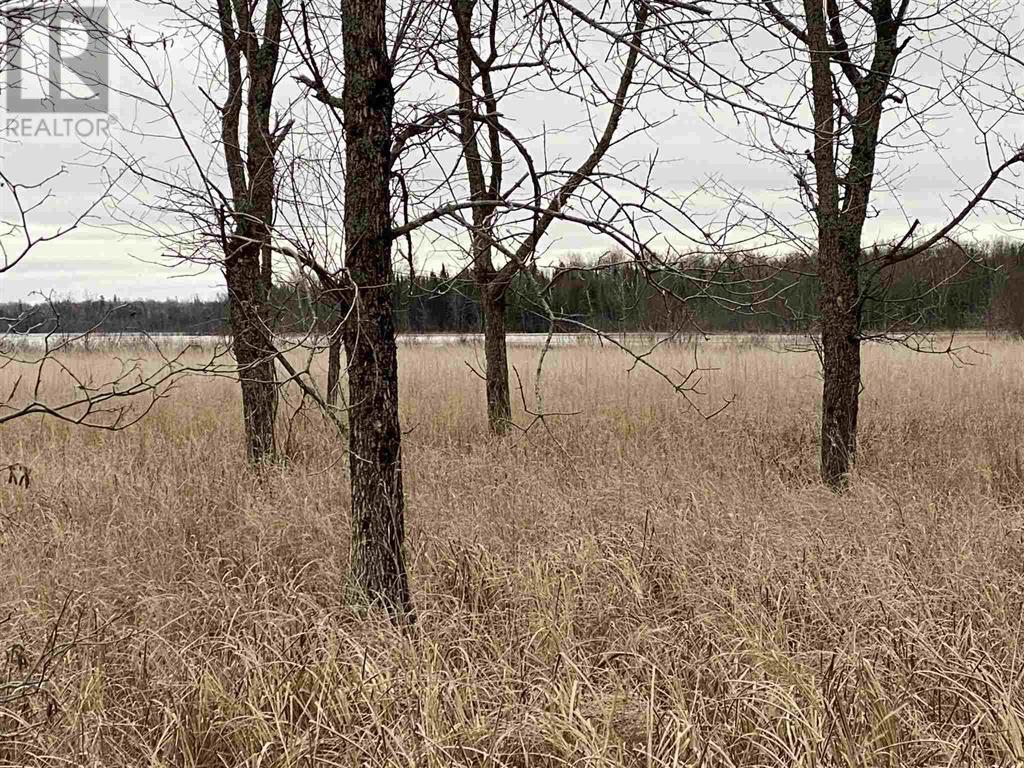 Lot 2 & 3 Con Nelson Dr, St. Joseph Island, Ontario  P0R 1G0 - Photo 10 - SM261323